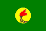 flag of Zaire