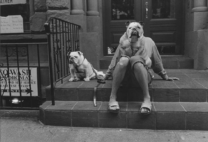 Erwitt NYC