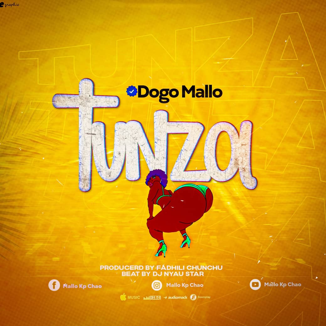 AUDIO | Dogo Mallo – Tunza | Download