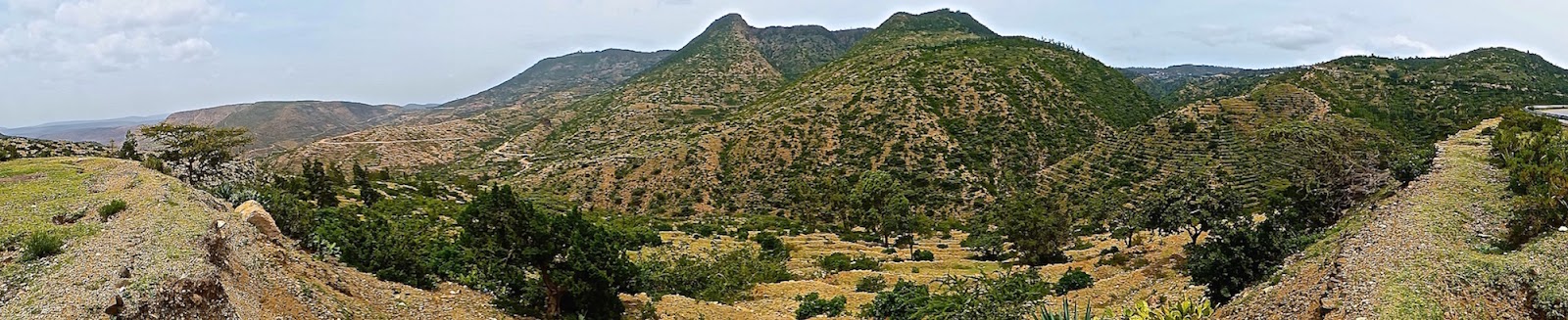 P1060785