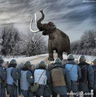 Funny-Pics-amarjits (59)