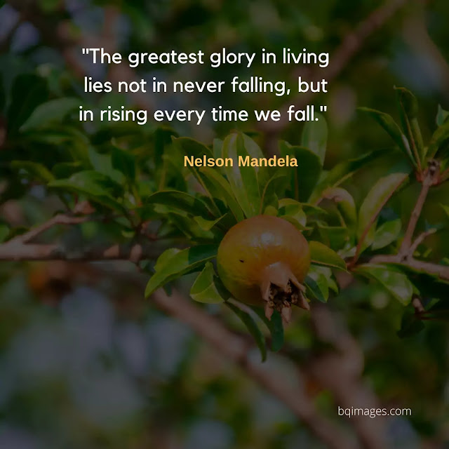 golden words quotes in english