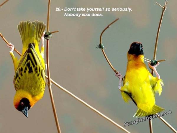 Don't take yourself so seriously . Nobody else does.