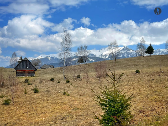 Amfiteatrul Transilvania, traseul ecoturistic T9 - Moieciu de Sus