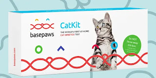 Save up to 30% with these current Basepaws coupons for December 2022. The latest basepaws.com coupon codes at CouponFollow.