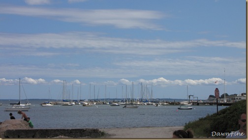 Beach day_20090724_040