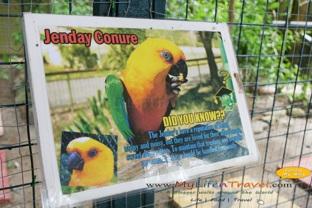 Langkawi Wildlife Park