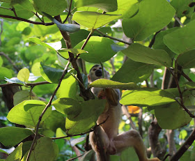 Zoo Leipzig - Gondwanaland