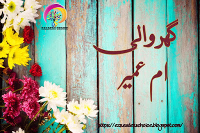Ghar wali novel pdf by Umm Umayr Episode 1 to 9
