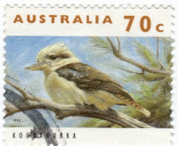 Ave kookaburra