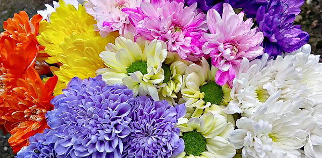 Fresh flowers