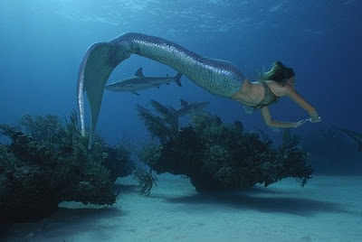 sirena nadando en el mar