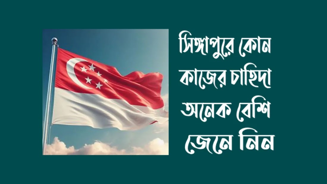 সিঙ্গাপুরে-কোন-কাজের-চাহিদা-বেশি