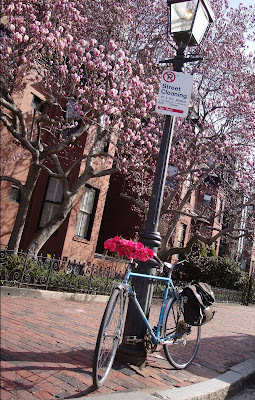 Boston bicycle flower garland springtime