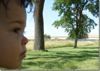 grandsons 057 (640x446)