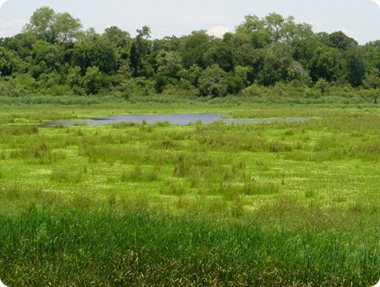 Chaco, Parque Nacional_thumb[2]
