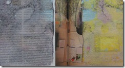 ny times page 3b