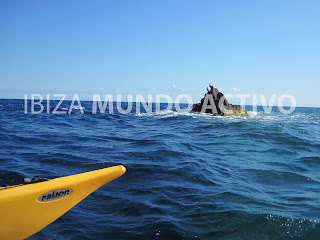 Ibiza en kayak