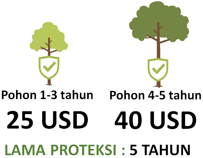 Tiga perusahaan Asuransi yang memback-up Asset green 