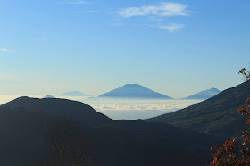 Bukit Sikunir 2022, Tiket Masuk dan Aktivitas Yang Bisa Dilakukan