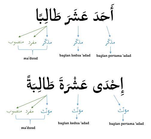 Kaidah Bilangan 11 Sampai 20 Dalam Bahasa Arab Pelajaran 6 Durusul Lughah 2