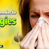 Best Home Remedies For Allergies | How to prevent Allergies