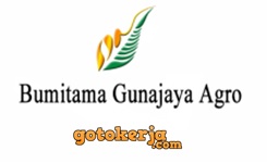 Lowongan Kerja PT Bumitama Gunajaya Agro (BGA Group)