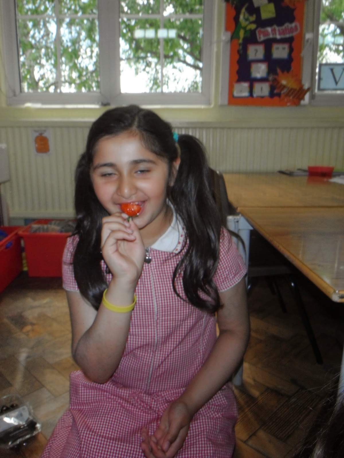 Collection of My Fruits Models | Liliana Models My Fruits ...