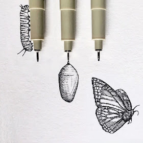 02-The-Caterpillar-August-Lamm-www-designstack-co