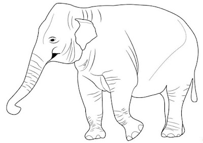 Cara Menggambar Binatang atau Hewan untuk anak Cara Menggambar Binatang atau Hewan untuk anak-anak TK PAUD, SD, SLTP dan SLTA