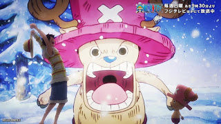 ワンピース エッグヘッド編 EDテーマ Dear sunrise 歌詞 大槻マキ ONE PIECE アニメ主題歌 エンディング