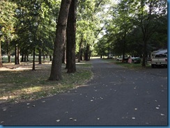 IMG_0411 (Medium)