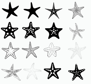 Starfish svg,cut files,silhouette clipart,vinyl files,vector digital,svg file,svg cut file,clipart svg,graphics clipart