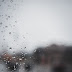 The right Dehumidifier is Critical for a Successful Microgreen Grow