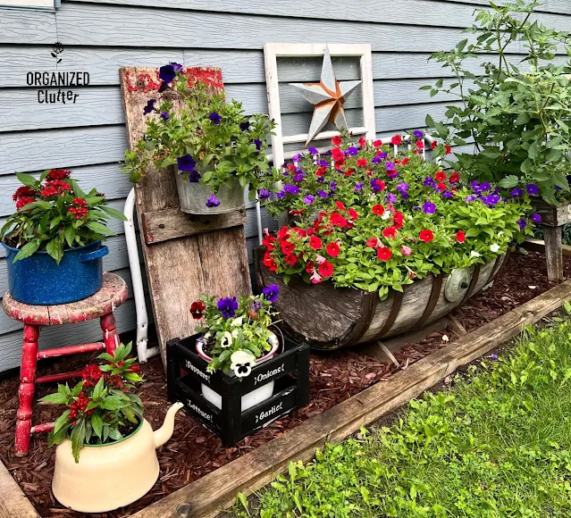 Photo of back yard junk garden plantings.