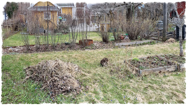 Odins hage i Solvang kolonihager, avdeling 1.