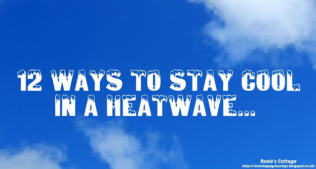 12 Ways To Stay Cool In A Heatwave & 6 Ways To Keep Furbabies Safe Too.