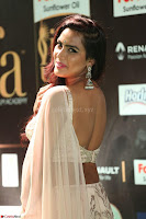 Prajna in Cream Choli transparent Saree Amazing Spicy Pics ~  Exclusive 062.JPG
