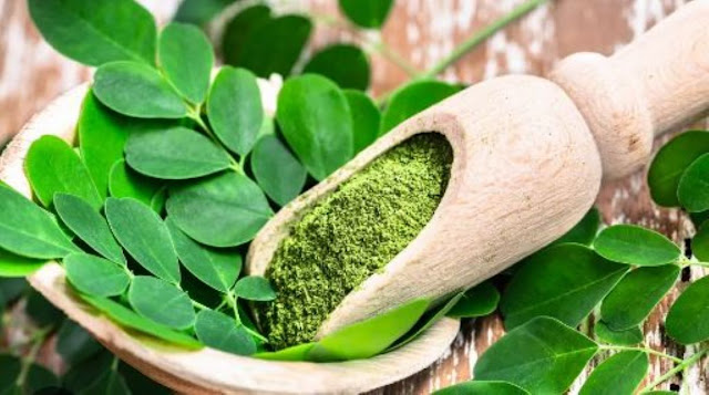 Moringa Leaves – 15 Health Benefits That You Should Know