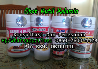 Obat Kutil Kelamin