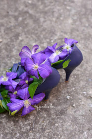 flori de clematis mov in pantofi albastri bouquet