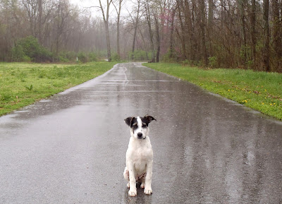 Hamestring Creek Trail Fayetteville Buddy Johnnie Chamberlin