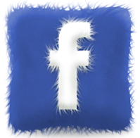 change your Facebook Page URL or Username