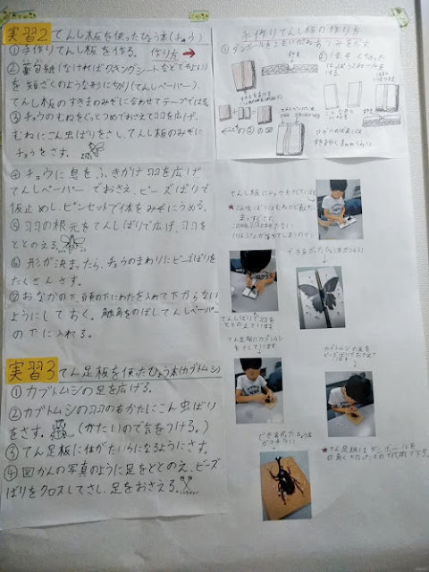 無料印刷可能 自由研究 まとめ方 模造紙 壁紙 配布 無料印刷可能 自由研究 まとめ方 模造紙 壁紙 配布
