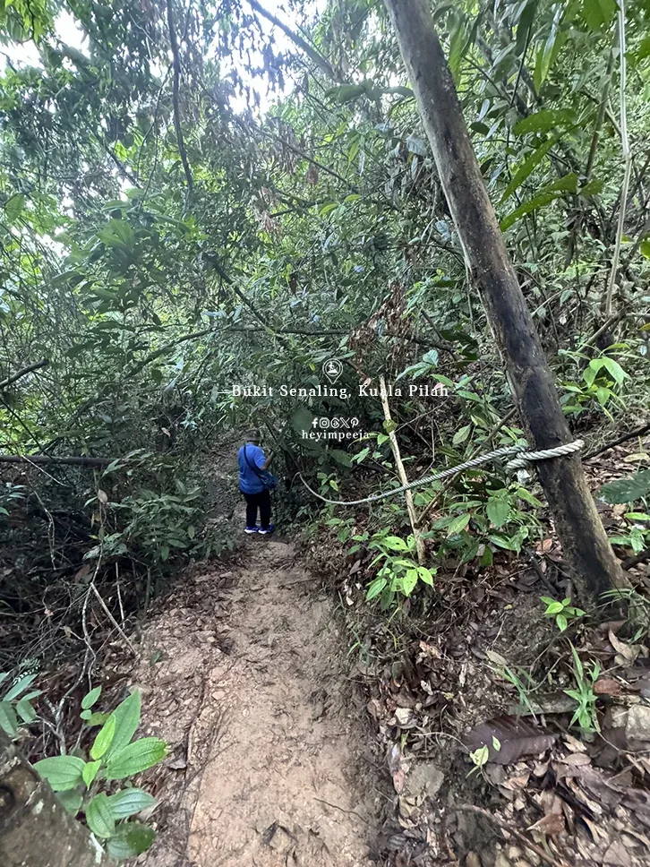 Hiking Bukit Senaling Kuala Pilah