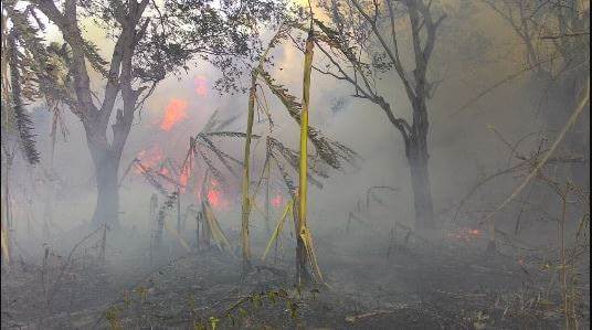 incêndio em limoeiro do norte