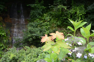 向ノ島公園