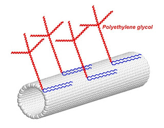 carbon nanotube