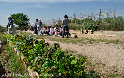 niños huerto escolar ecologico ampa colegio bonavista alaquas