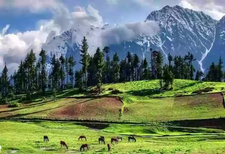 Boyun Village Pakistan (Green Top) | Height, Weather, Location